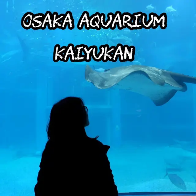 Osaka Aquarium Kaiyukan 🐠🩵