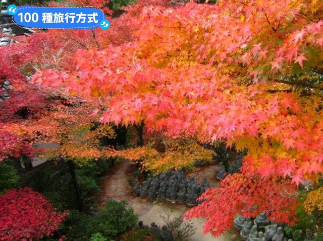 日本三景-宮島的漫山楓紅與海上鳥居
