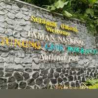 Mount Gede Pangrango National Park