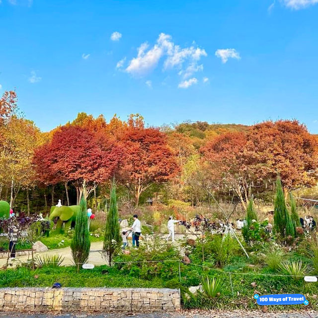 Seoul Grand Park in autumn is pure magic!