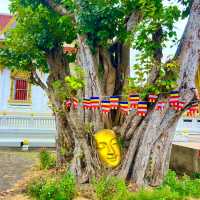 สักการะพระบรมสารีริกธาตุ วัดนามะตูม