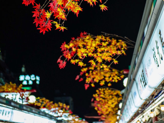 日本🇯🇵東京  -  淺草寺雷門