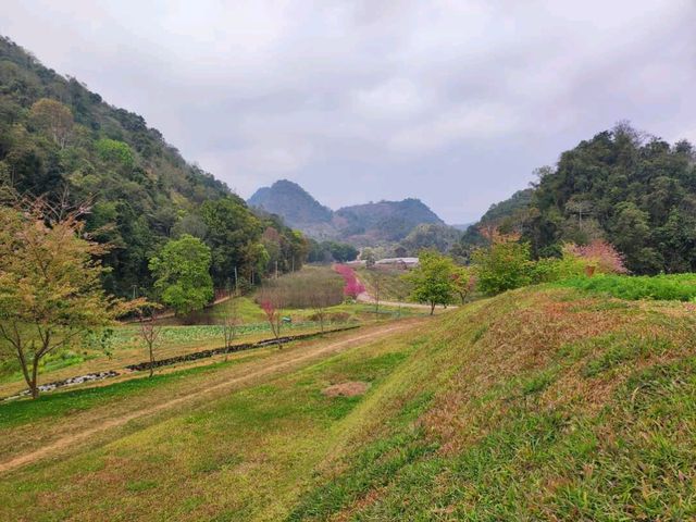 ธรรมชาติงดงาม ในหุบเขาสลับซับซ้อน บนยอดดอยอ่างขาง