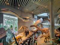 🦕🦓🦌Shanghai natural history museum
