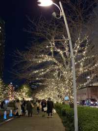 【六本木🇯🇵】東京ミッドタウンイルミネーション🎄
