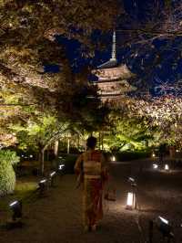 \紅葉のライトアップ/京都と言えばまずはここ！「東寺」夜間特別拝観とは？？？