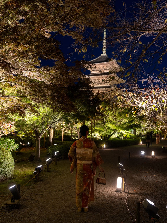 \紅葉のライトアップ/京都と言えばまずはここ！「東寺」夜間特別拝観とは？？？