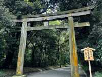 Tranquil Exploration at Meiji Jingu