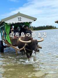 【由布島】西表島から水牛車に乗って行く！コンパクトな島を散策しよう
