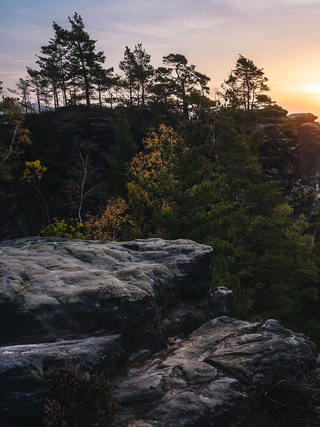 Hiking Through Fairy Tales: A Trek in Sächsische Schweiz