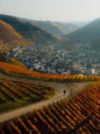 Exploring Castles and Vineyards: A Road Trip Through Rhineland-Palatinate