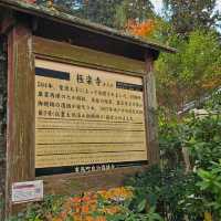 有馬溫泉區〔念佛寺〕與〔極樂寺〕的靜謐之美**