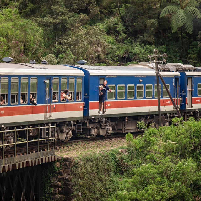 錫蘭茶鄉火車巡禮：絕美景致與悠閒旅程的完美結合