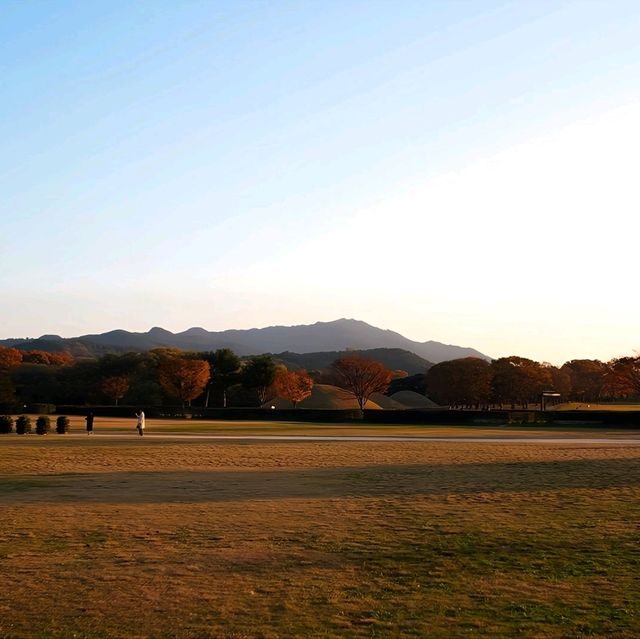 韓國慶州_Walking in Gyeongju 慶洲散策