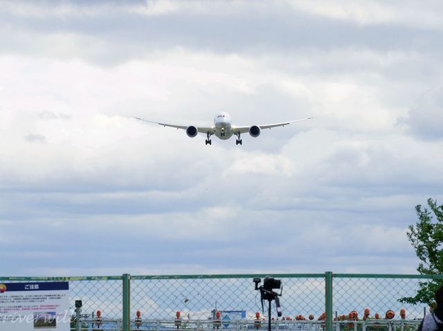 【大阪】頭上をすり抜ける迫力満点の飛行機！「千里川土手」