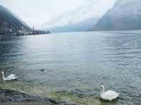 หมู่บ้านริมทะเลสาบ Hallstatt, Austria 