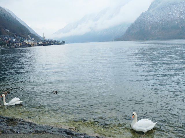หมู่บ้านริมทะเลสาบ Hallstatt, Austria 