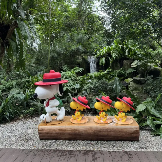 史努比野外冒險 - 完美週末之旅。