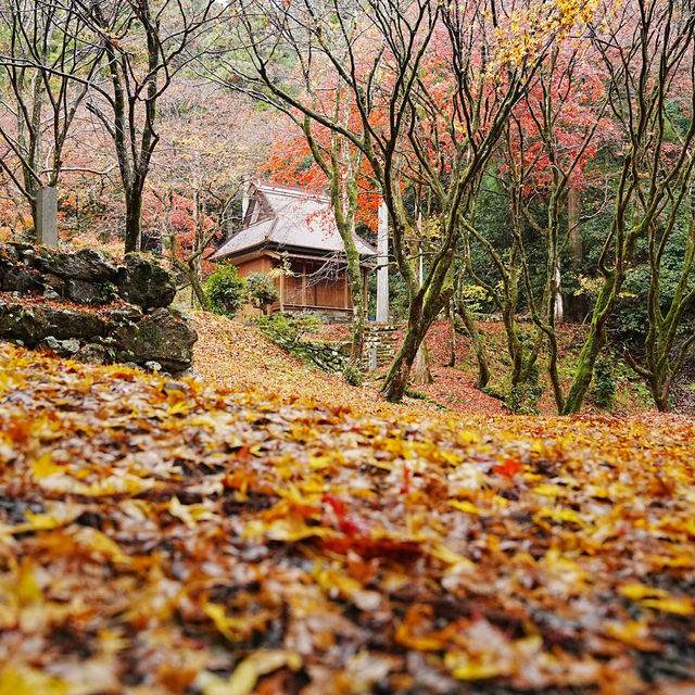 【滋賀県】鶏足寺