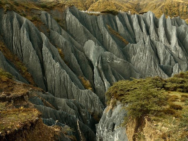 Flaring Rock Forest [Moshi Park in Autumn]