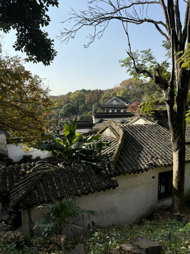  Serene Scenery in Suzhou at Tiger Hill