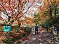 Ryōanji Temple 🍁