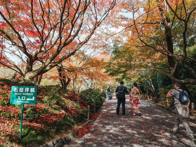 Ryōanji Temple 🍁