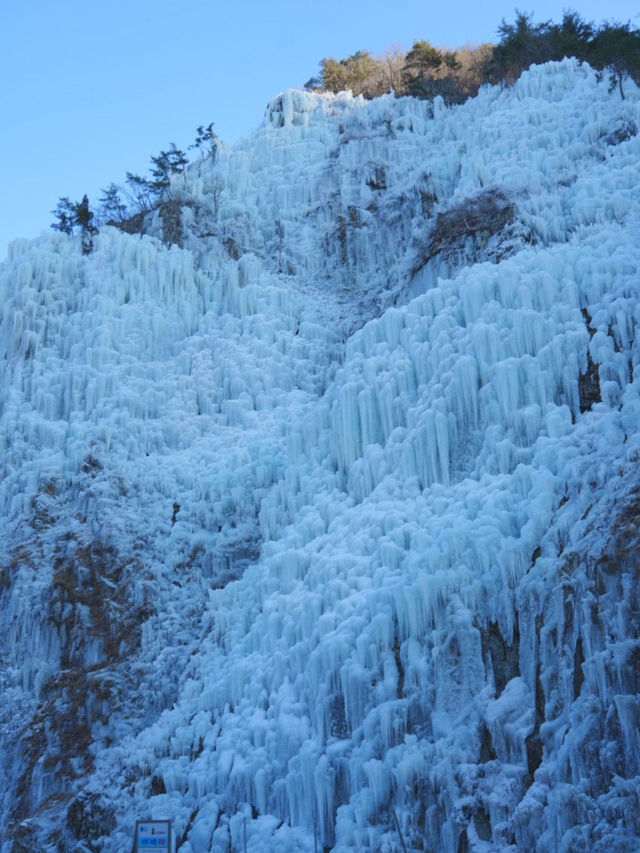 (24.12.24) 올해 실시간, 꽁꽁 얼어붙은 청송 얼음골❄️🩵