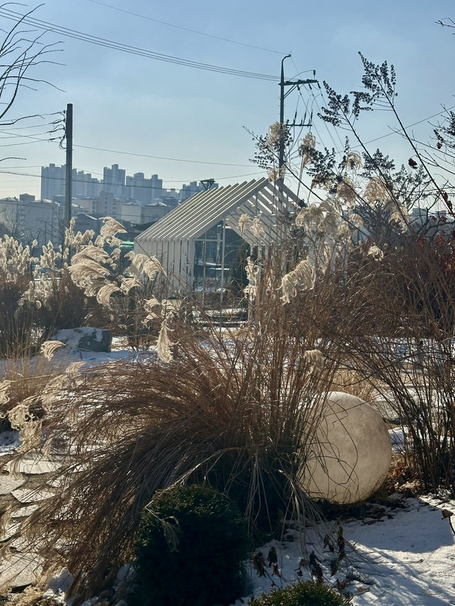 ❄️ 겨울철 별미 ❤️ 춘천의 따끈한 닭갈비 맛집투어 여행지 추천