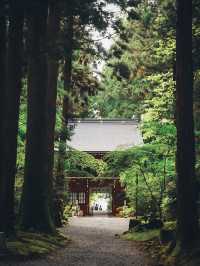 茨城のパワースポット⛩御岩神社