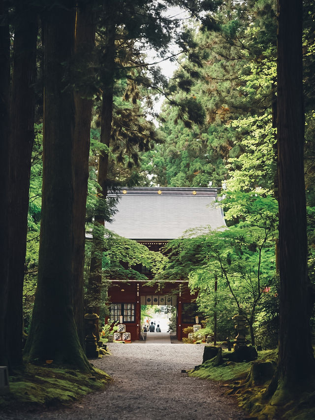 茨城のパワースポット⛩御岩神社