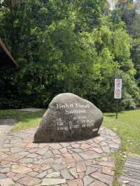 Bukit Timah Summit: Conquering Singapore’s Highest Peak