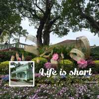 龍環葡韻博物館住宅迎聖誕
