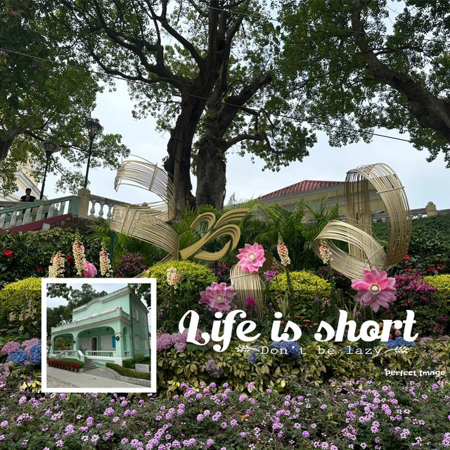 龍環葡韻博物館住宅迎聖誕