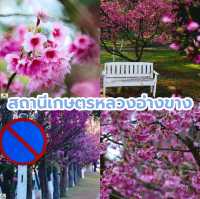 สถานีเกษตรหลวงอ่างขาง
