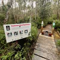 Hartz Mountains National Park