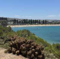 Why You Should Add Port Elliot to Your South Australia Road Trip