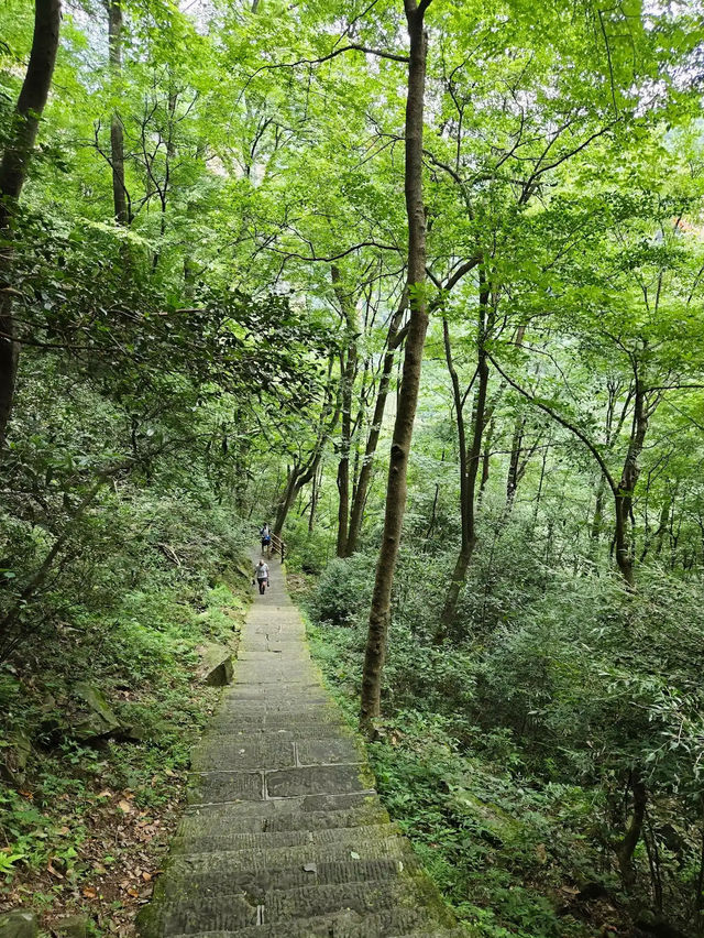 Zhangjiajie National Forest Park 