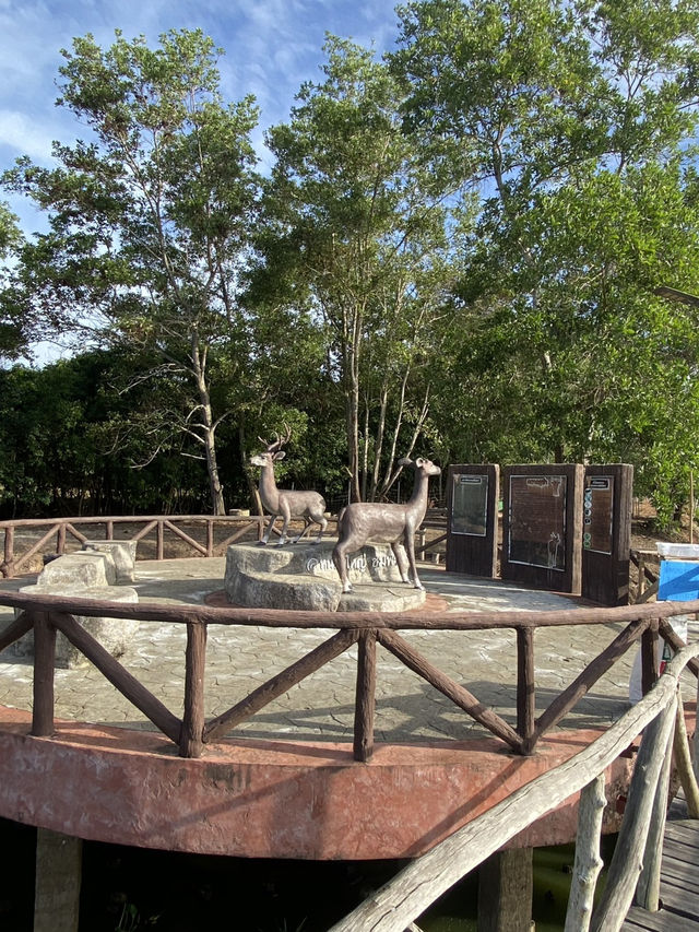 สะพานชมกวาง 🦌