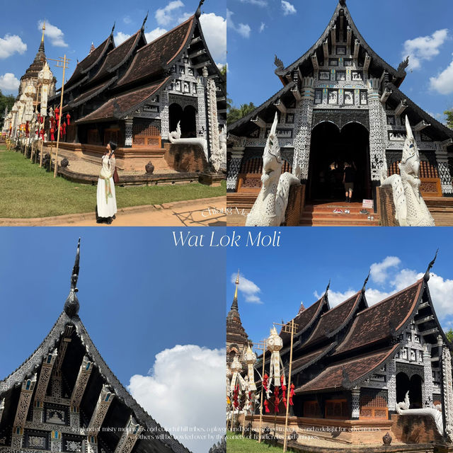 21 โลเคชั่น เชียงใหม่ good vibes แบบสุดๆ