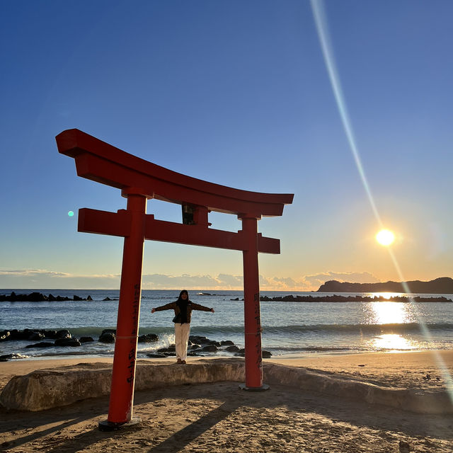 【東京→勝浦】東京から行ける閑静な港町。観光客が少ない穴場スポット❗️No Filter❗️