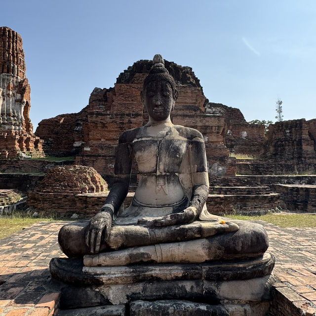 วัดมหาธาตุ จ.พระนครศรีอยุธยา
