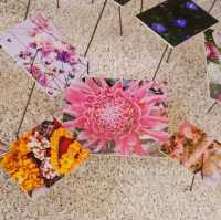 ไปชมดอกไม้ที่งาน ON THE GROUND🌺