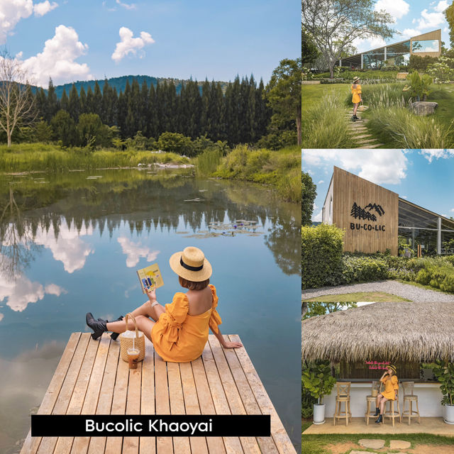 รวม 15 พิกัดเที่ยวเขาใหญ่ สวยยังกับเมืองนอก🌳