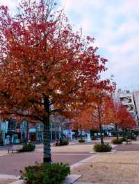 天文館公園Champ de fleurs TENMONKAN
