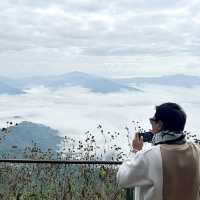 Amazing ทะเลหมอก ที่ดอยผาตั้ง จังหวัดเชียงราย