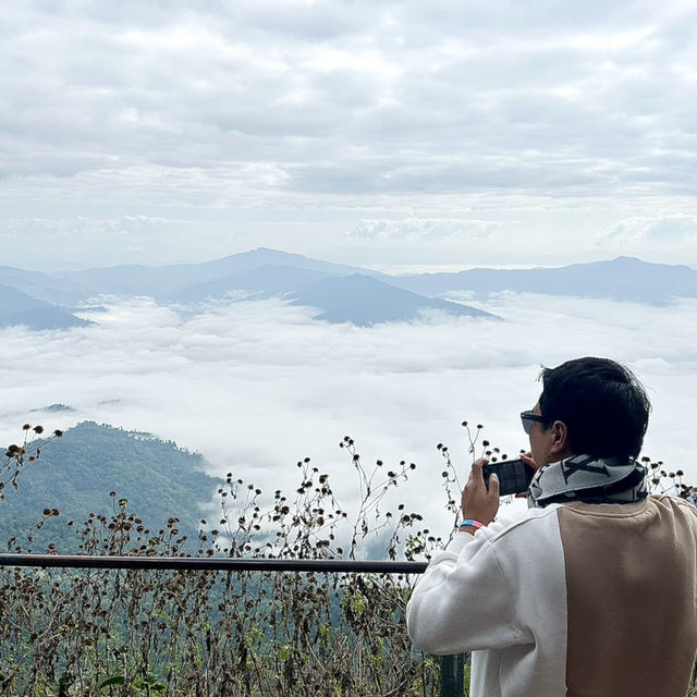 Amazing ทะเลหมอก ที่ดอยผาตั้ง จังหวัดเชียงราย