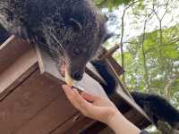 A Perfect Wildlife Escape: Fomasa Safari Park in Melaka Exceeds Expectations