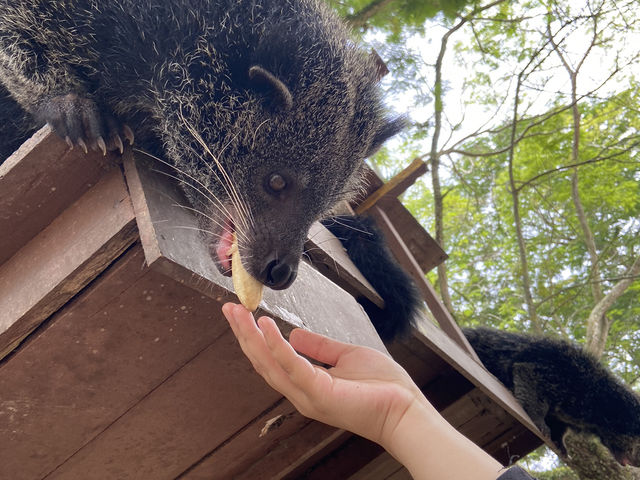 A Perfect Wildlife Escape: Fomasa Safari Park in Melaka Exceeds Expectations