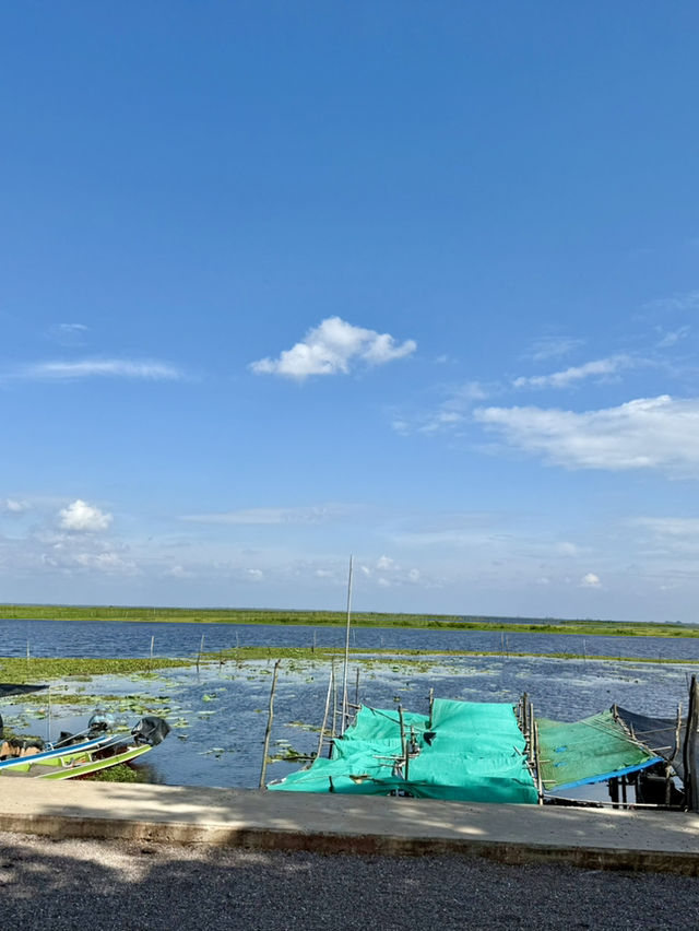 大きな大きなタイの湖🐟